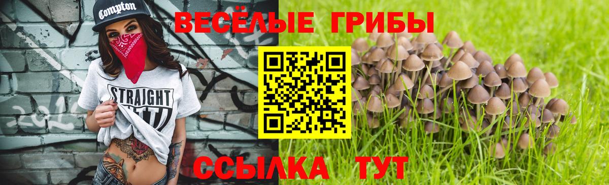 Галлюциногенные грибы мицелий  Галлюциногенные грибы Magic Shrooms  Баксан  Вход с VPN 